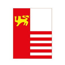 National Junior College